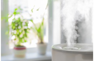 Everything to Know About Humidifiers