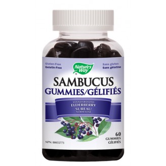 Nature's Way Sambucus Immune Gummy Elderberry, 60 Gummies