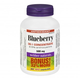 Webber Naturals Blueberry Bonus Pack